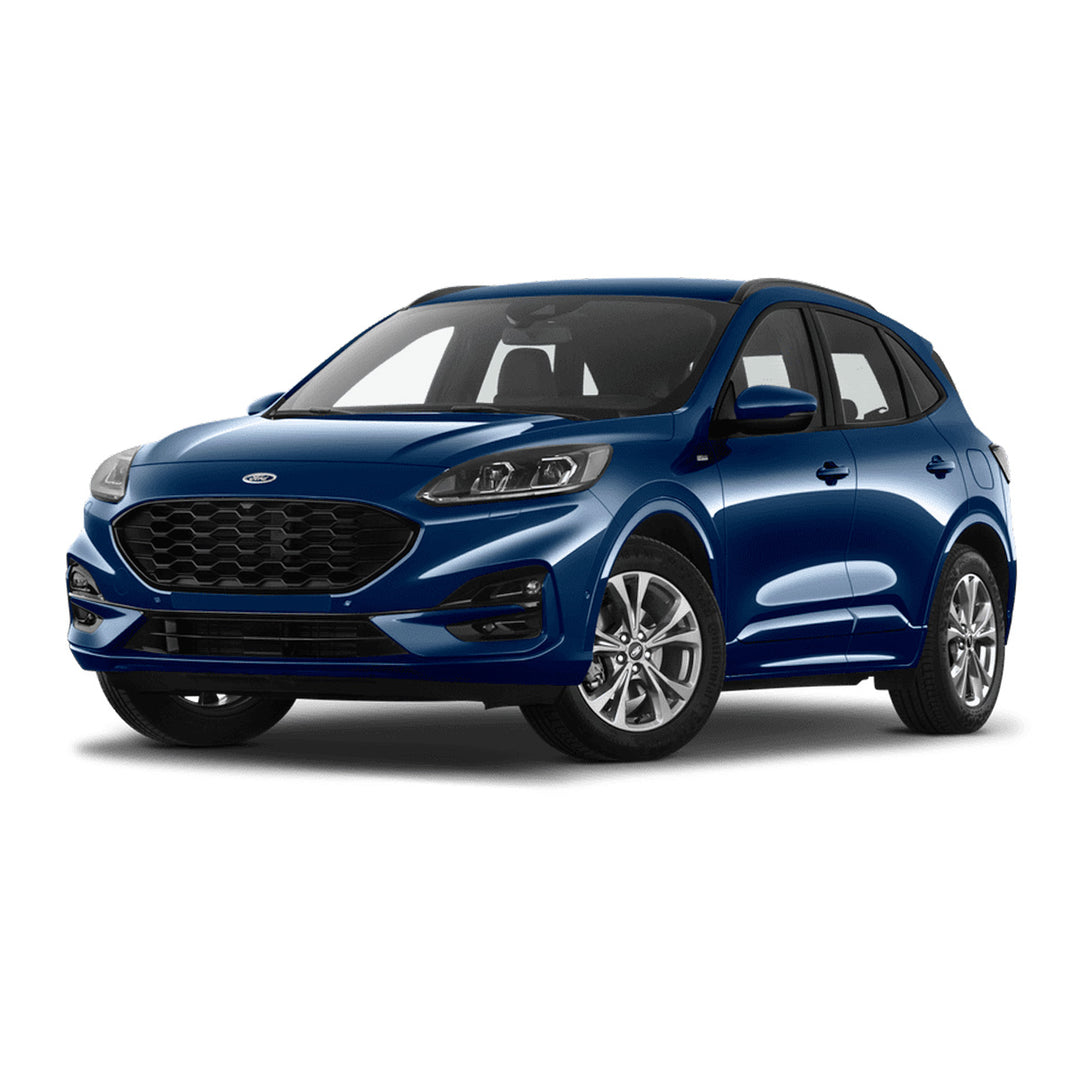 Kuga, (2019-Bugüne)